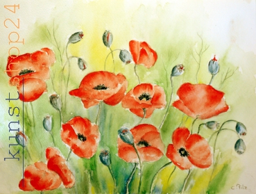 Mohnblumen / Aquarell / Kunstdruck