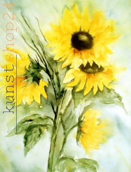 Sonnenblumen / Aquarell / Kunstdruck