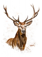 Grußkarte "Hirsch"