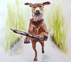 Hund im Sprung / Aquarell / Originalbild