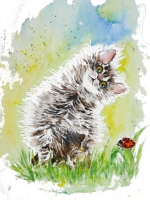 Grußkarte "Katze mit Marienkäfer"
