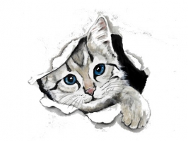 Spruchkarte "Katze" / verschiedene Sprüche zur Auswahl