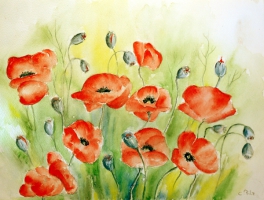 Mohnblumen / Aquarell / Kunstdruck