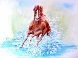 Pferd im Wasser / Aquarell / Kunstdruck
