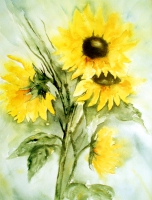 Sonnenblumen / Aquarell / Originalbild