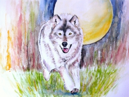 Wolf / Aquarell / Kunstdruck